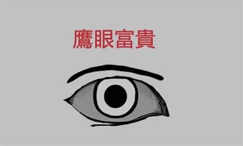 鷹眼 面相|解析面相中的鷹眼